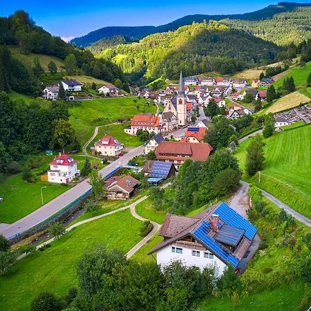 Steepleview House, Schwarzwaldblick Apartment - Spacious & Peaceful バート・ペーターシュタル・グリースバッハ エクステリア 写真
