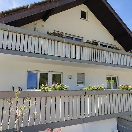 Steepleview House, Schwarzwaldblick Apartment - Spacious & Peaceful バート・ペーターシュタル・グリースバッハ エクステリア 写真