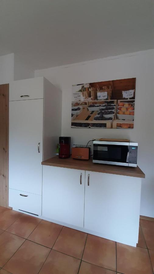 Steepleview House, Schwarzwaldblick Apartment - Spacious & Peaceful バート・ペーターシュタル・グリースバッハ エクステリア 写真