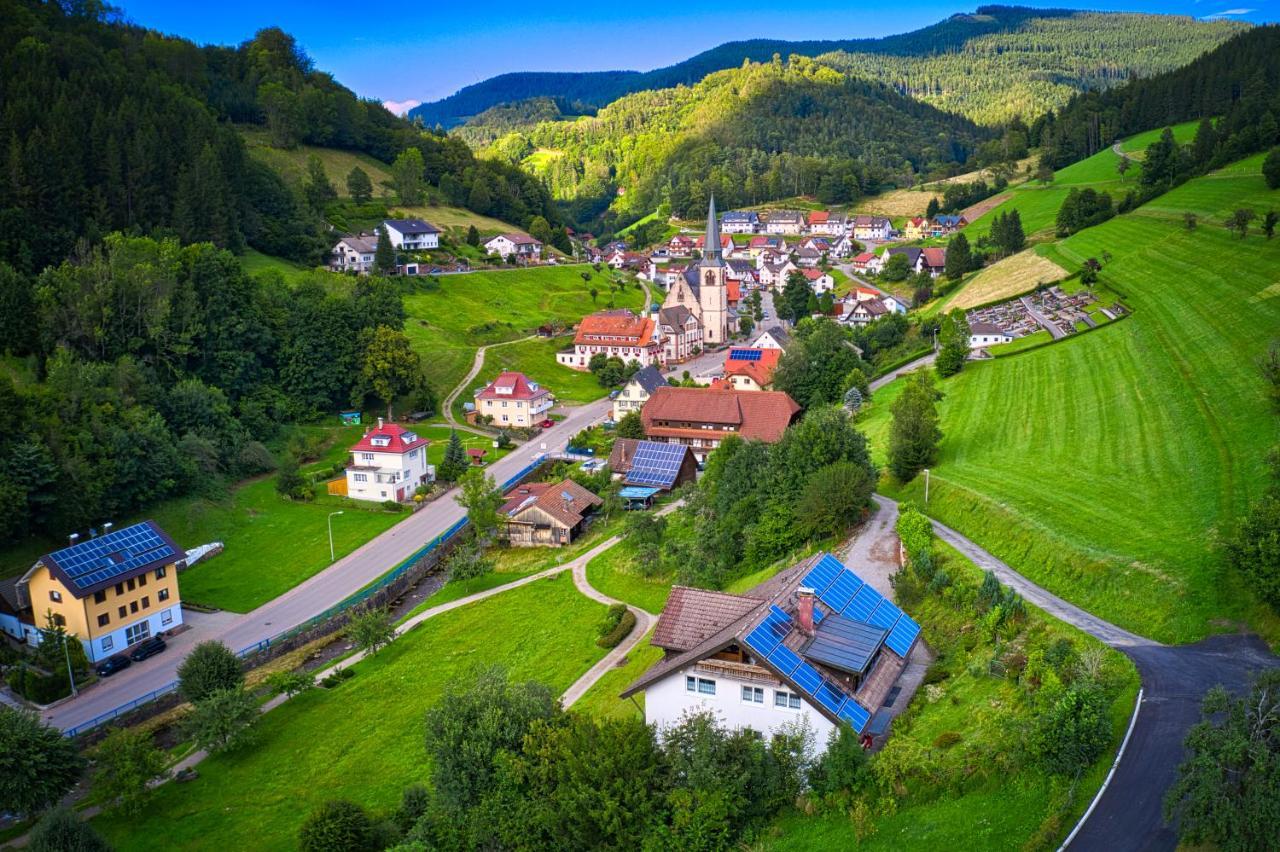 Steepleview House, Schwarzwaldblick Apartment - Spacious & Peaceful バート・ペーターシュタル・グリースバッハ エクステリア 写真