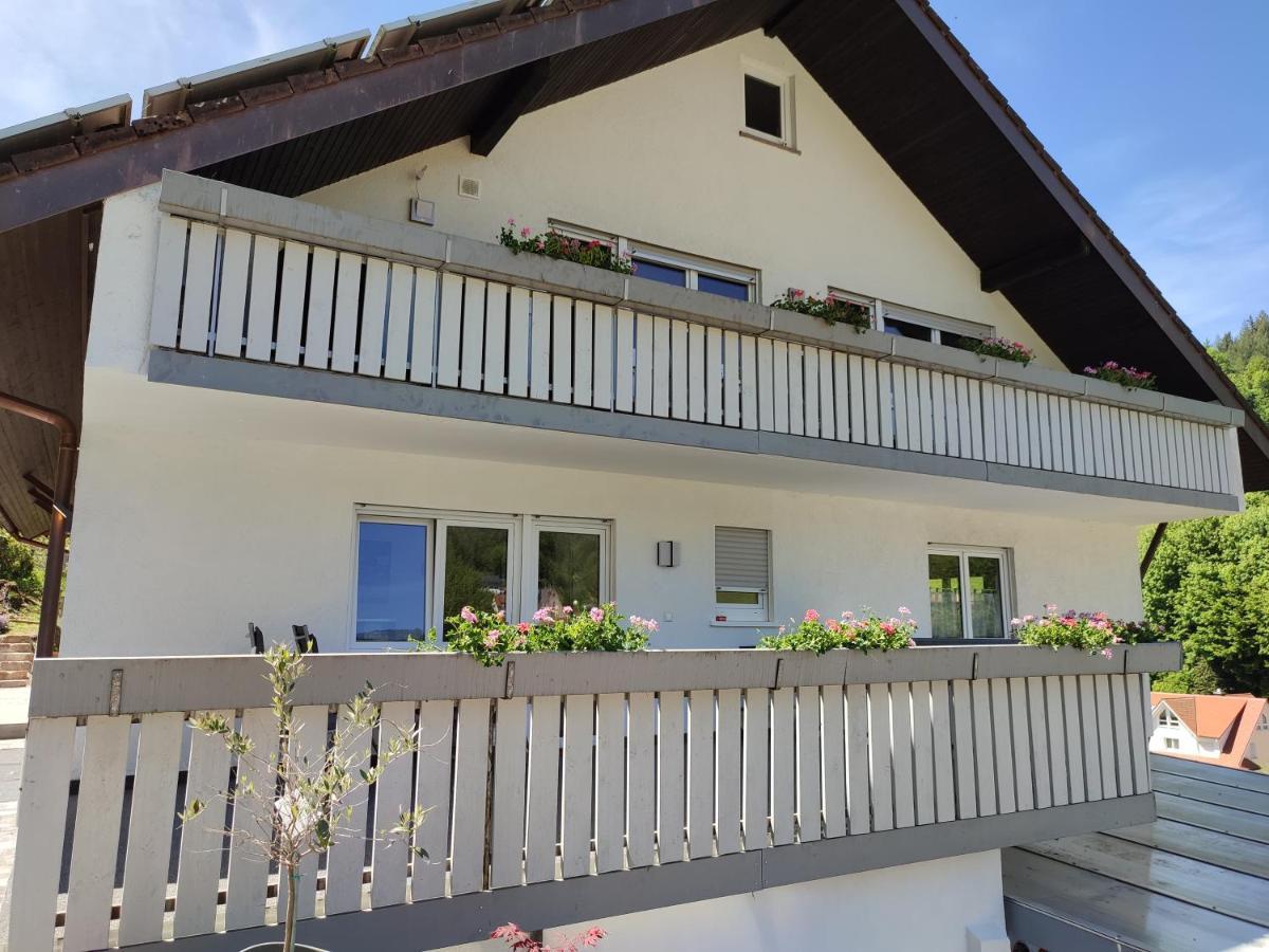 Steepleview House, Schwarzwaldblick Apartment - Spacious & Peaceful バート・ペーターシュタル・グリースバッハ エクステリア 写真