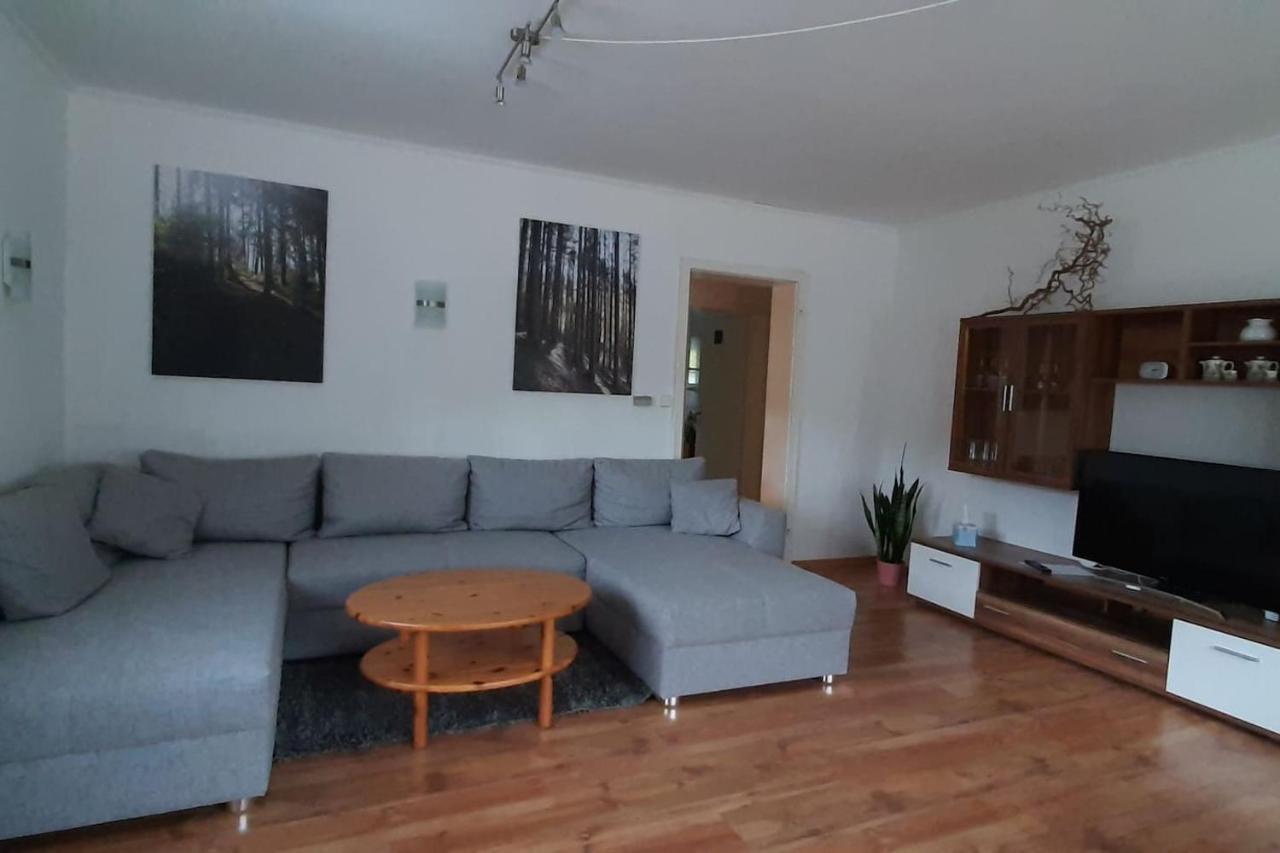 Steepleview House, Schwarzwaldblick Apartment - Spacious & Peaceful バート・ペーターシュタル・グリースバッハ エクステリア 写真